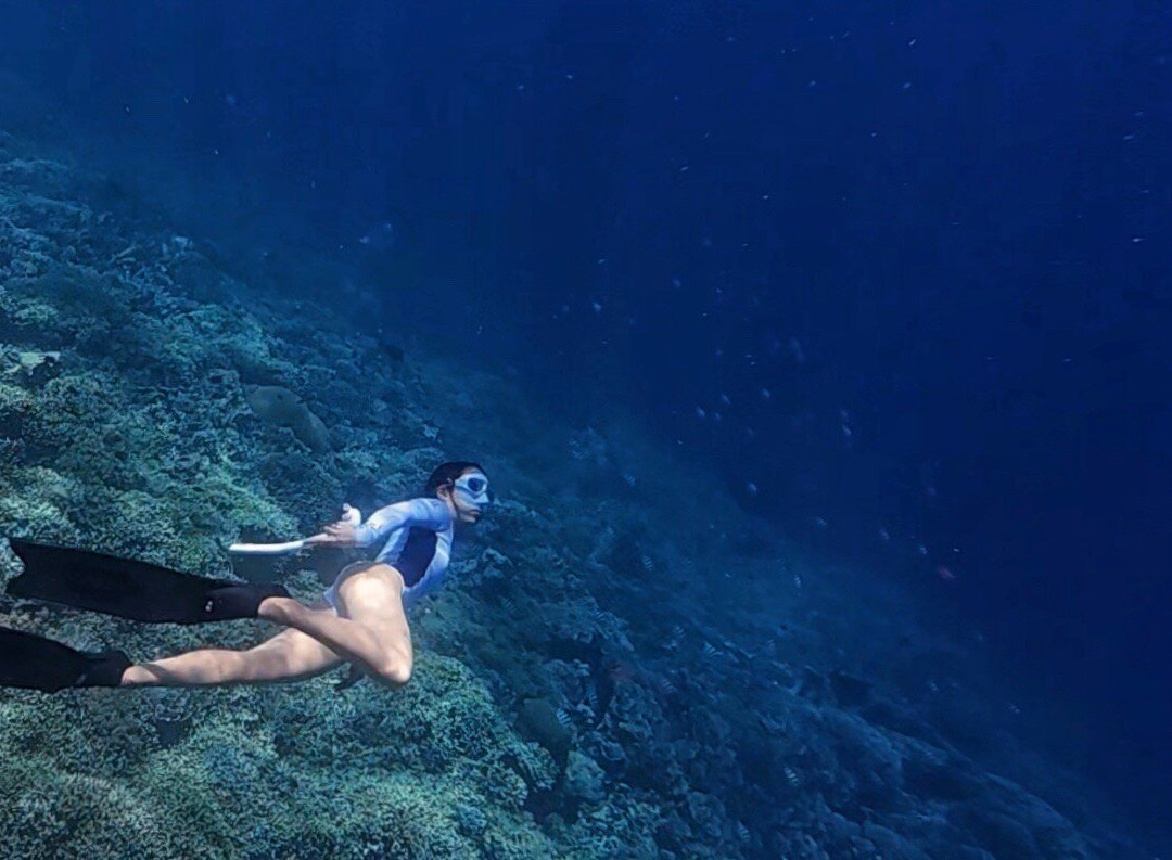 Blue Corner Dive Menjangan-西巴厘岛国家公园必去景点