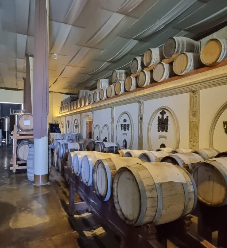 Vempra Mendoza-门多萨必去景点