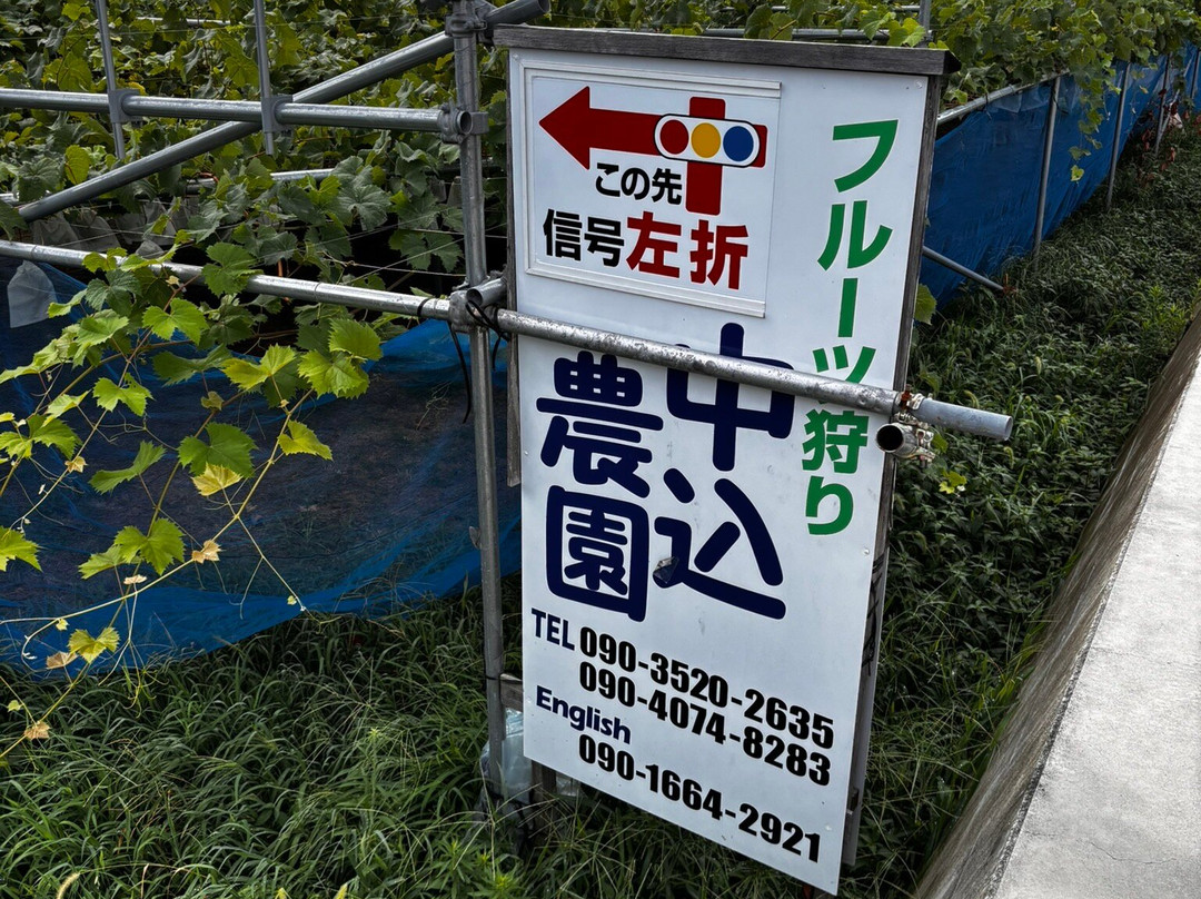Nakagomi Fruit Orchard-南阿尔卑斯市必去景点