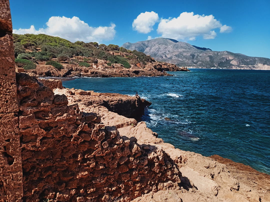 Ruines Romaines Tipaza-蒂帕萨必去景点