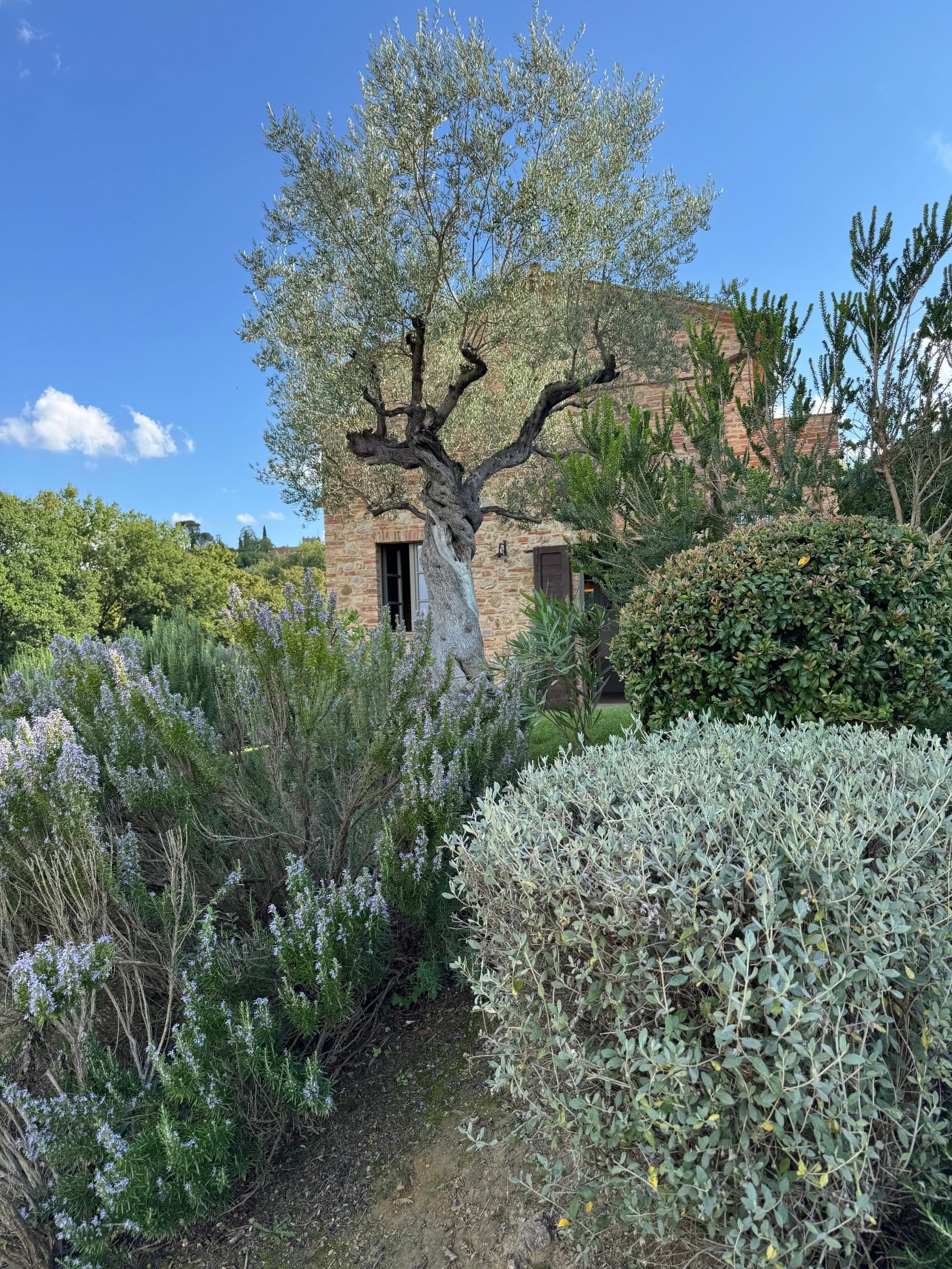 美丽格农场健康与水疗中心-浴室