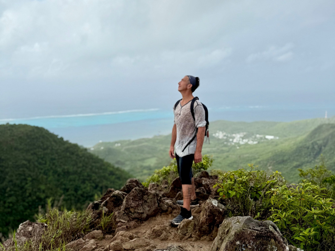 The Peak Forestry Reserve-Providencia Island必去景点