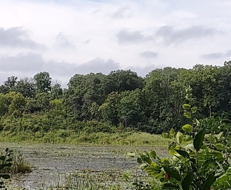 Lake Maria State Park-Monticello必去景点