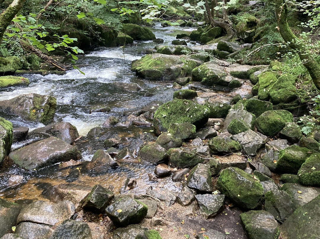 Golitha Falls-利斯卡德必去景点