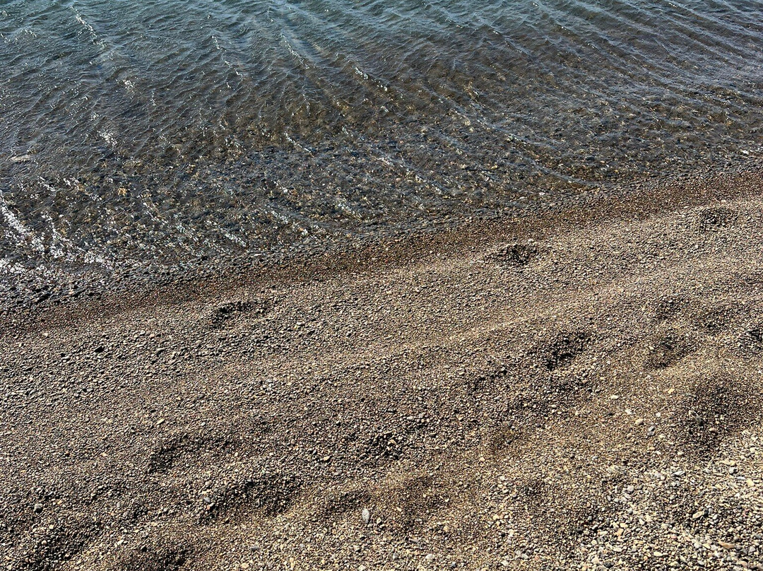 Aliki Beach-Aliki必去景点