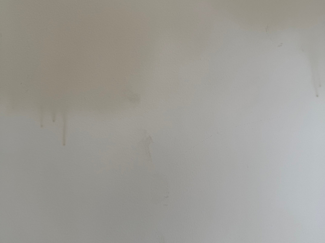 The Dorset Inn主图