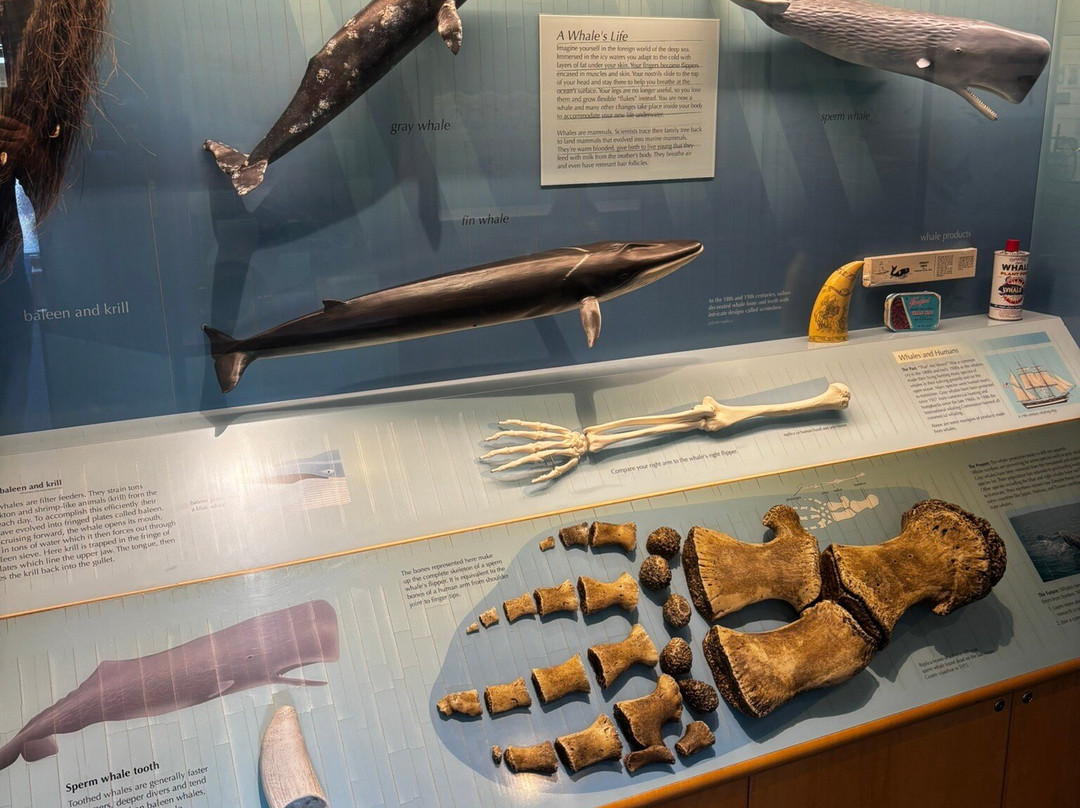 Crab Cove Visitor Center-阿拉米达必去景点