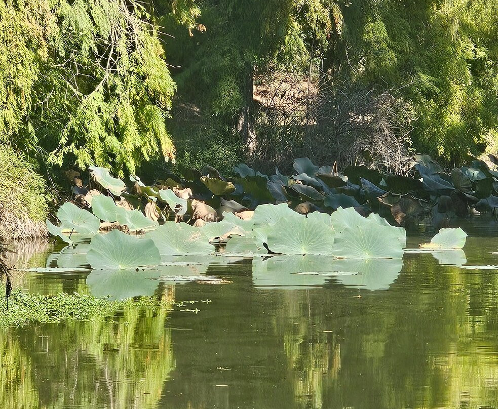 Giardini della Landriana-Tor San Lorenzo必去景点