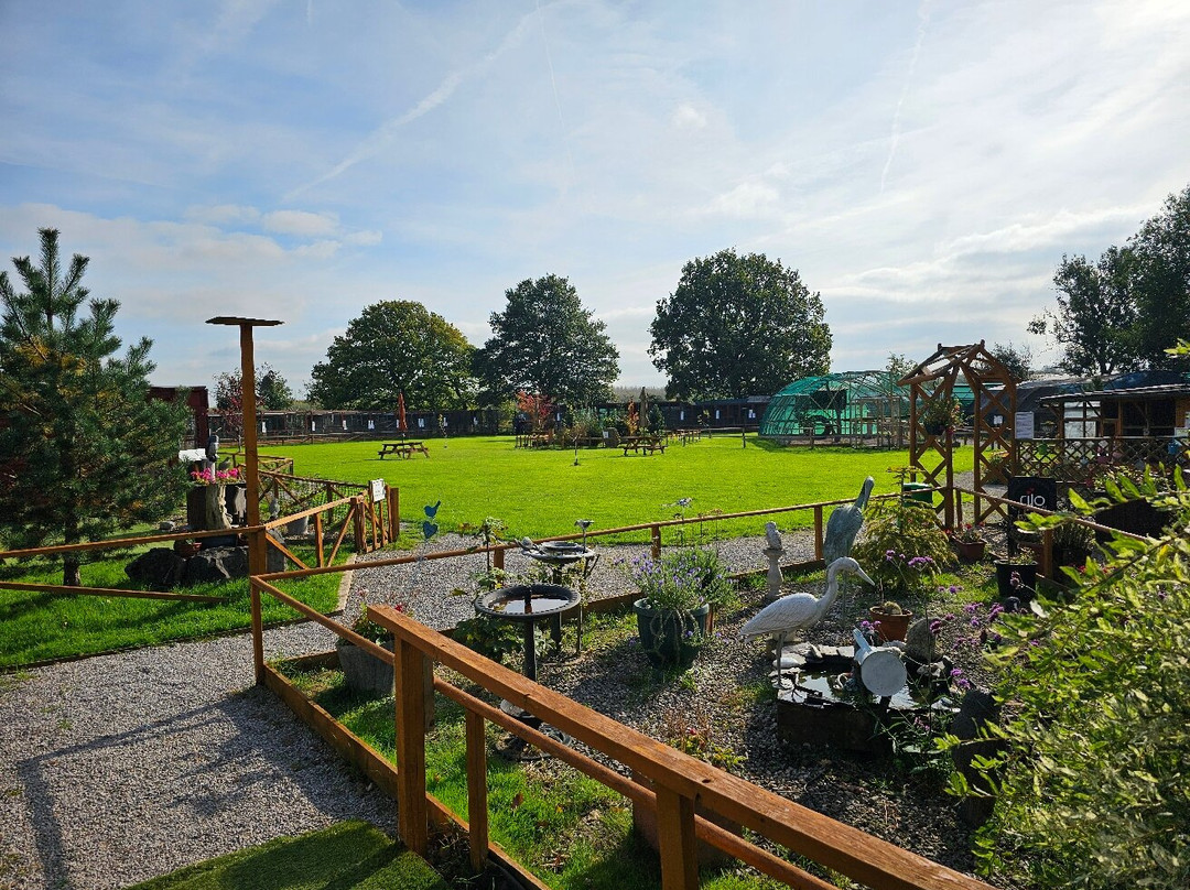 Wild Wings Birds of Prey Centre-沃灵顿必去景点