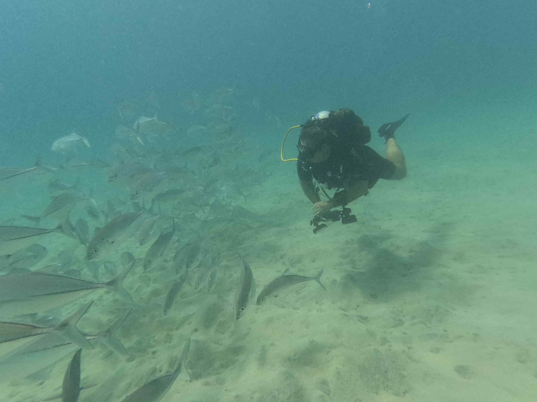 iDive Diving Centre-马卡迪湾必去景点