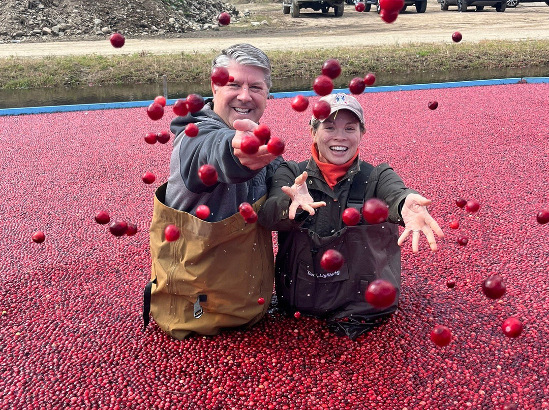 Hartley Family Farm Cranberry Bog Tours-Rochester必去景点