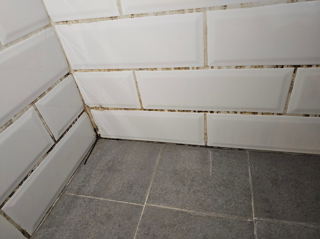 The Burrow Guest House主图