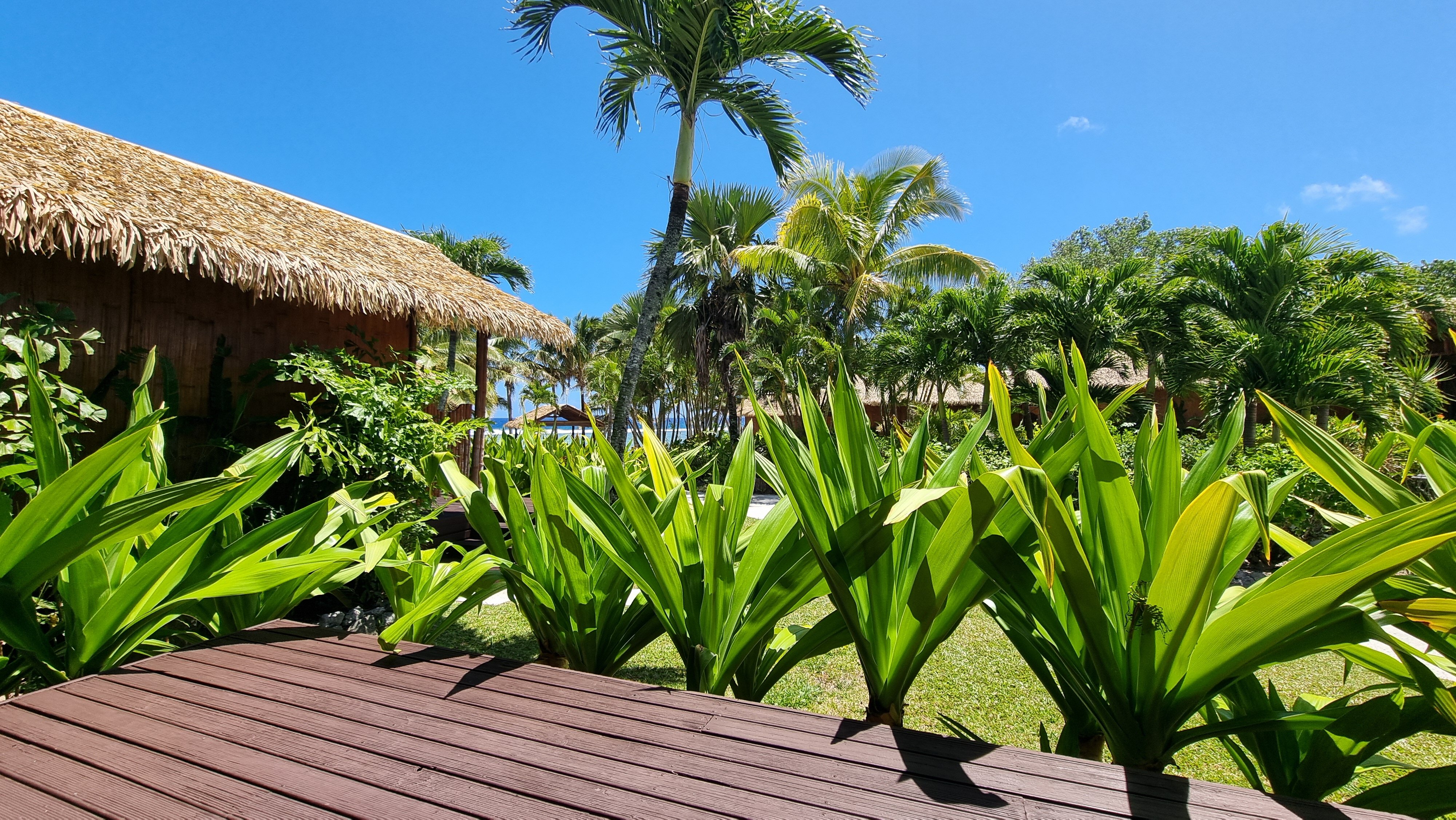 魔术金沙别墅-酒店景观