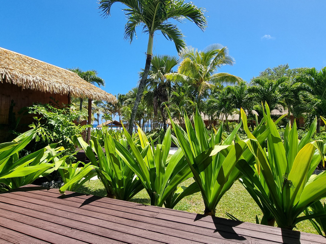 魔术金沙别墅主图