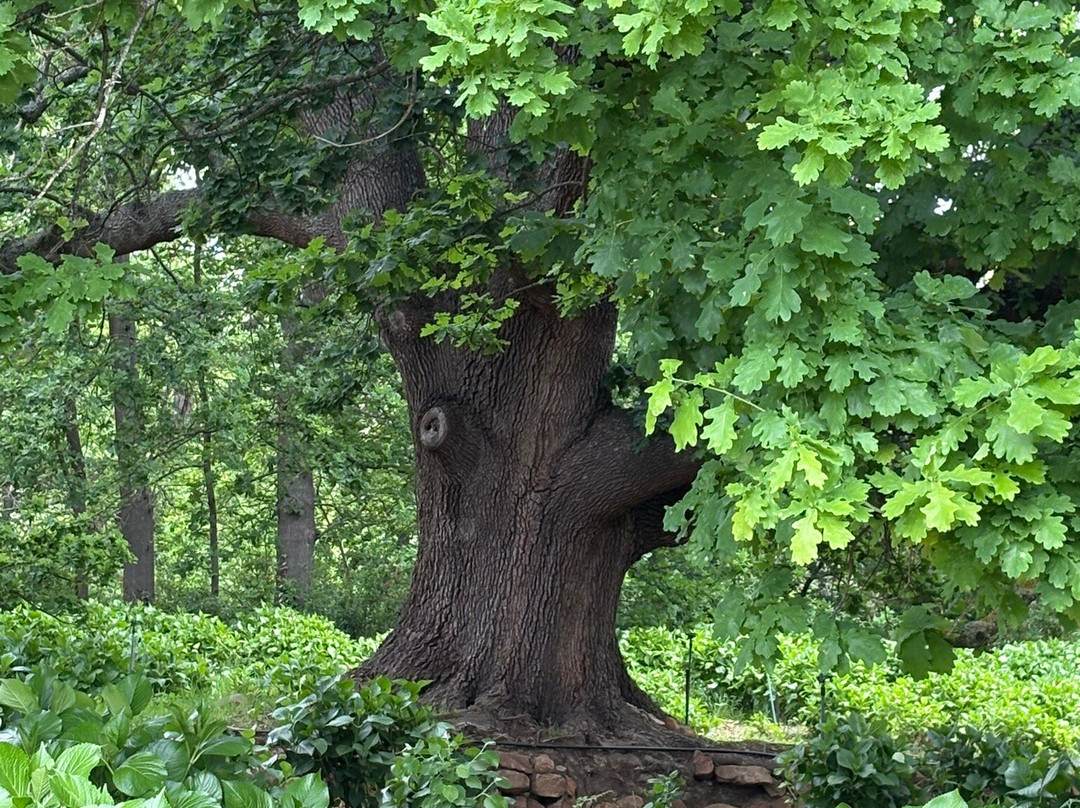 Oak Valley Estate-Elgin必去景点