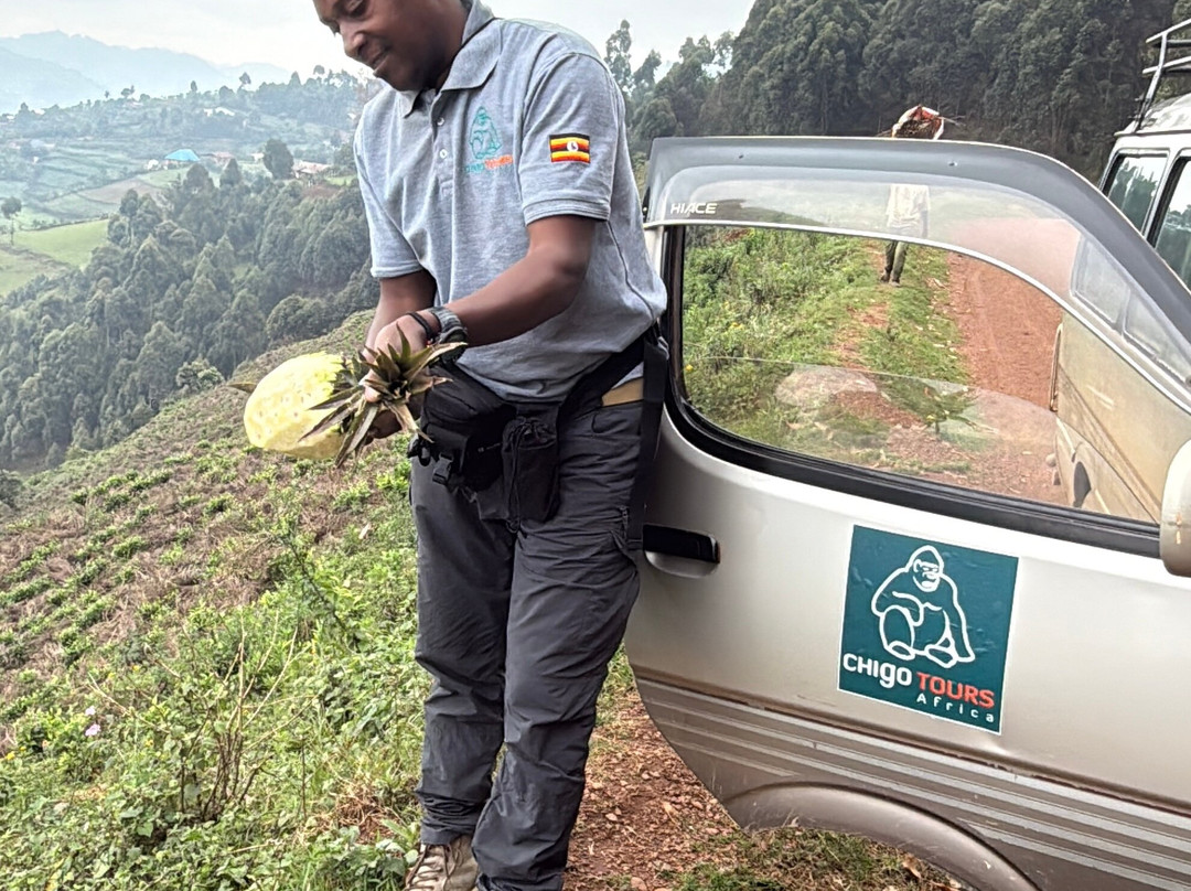 Chigo Tours Africa-坎帕拉必去景点