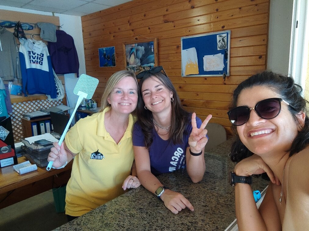 ORCA Dive Club Wadi Lahmy-马萨阿拉姆必去景点