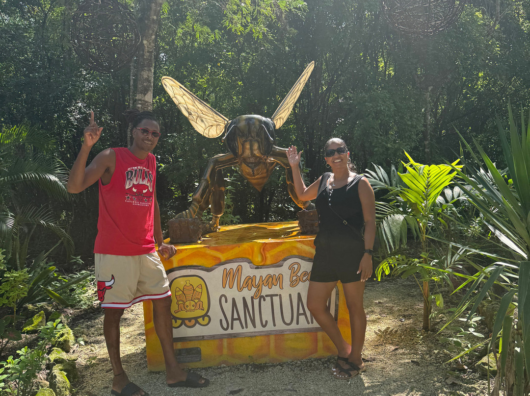 Mayan Bee Sanctuary-San Miguel de Cozumel必去景点
