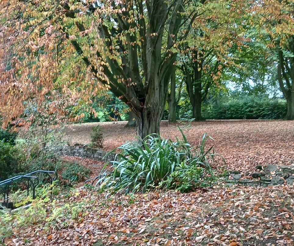 Elsecar Park-巴恩斯利必去景点