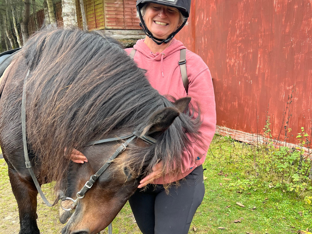 Highland Trekking and Trail Riding-Cannich必去景点