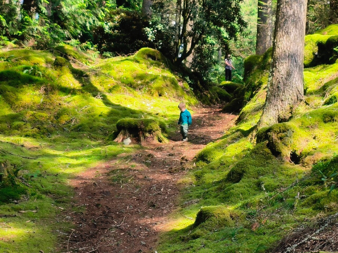 Benmore Botanic Garden-Benmore必去景点