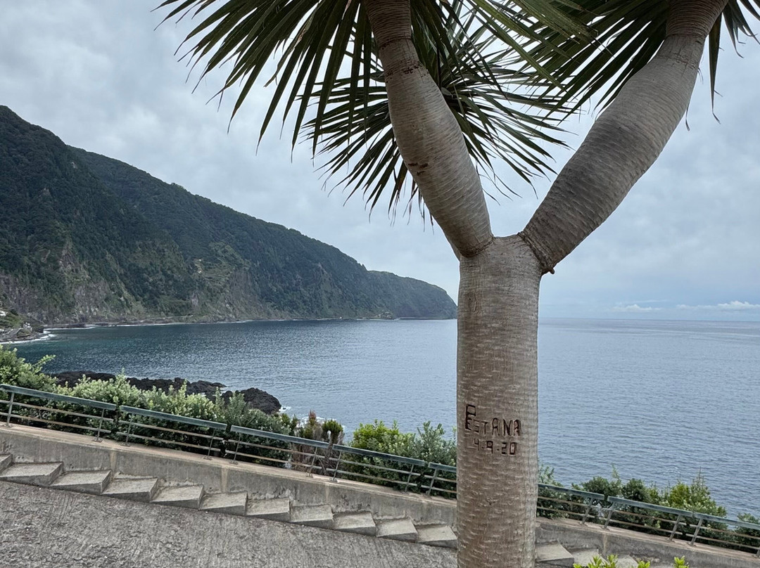 Safari Madeira Island-沙尔必去景点