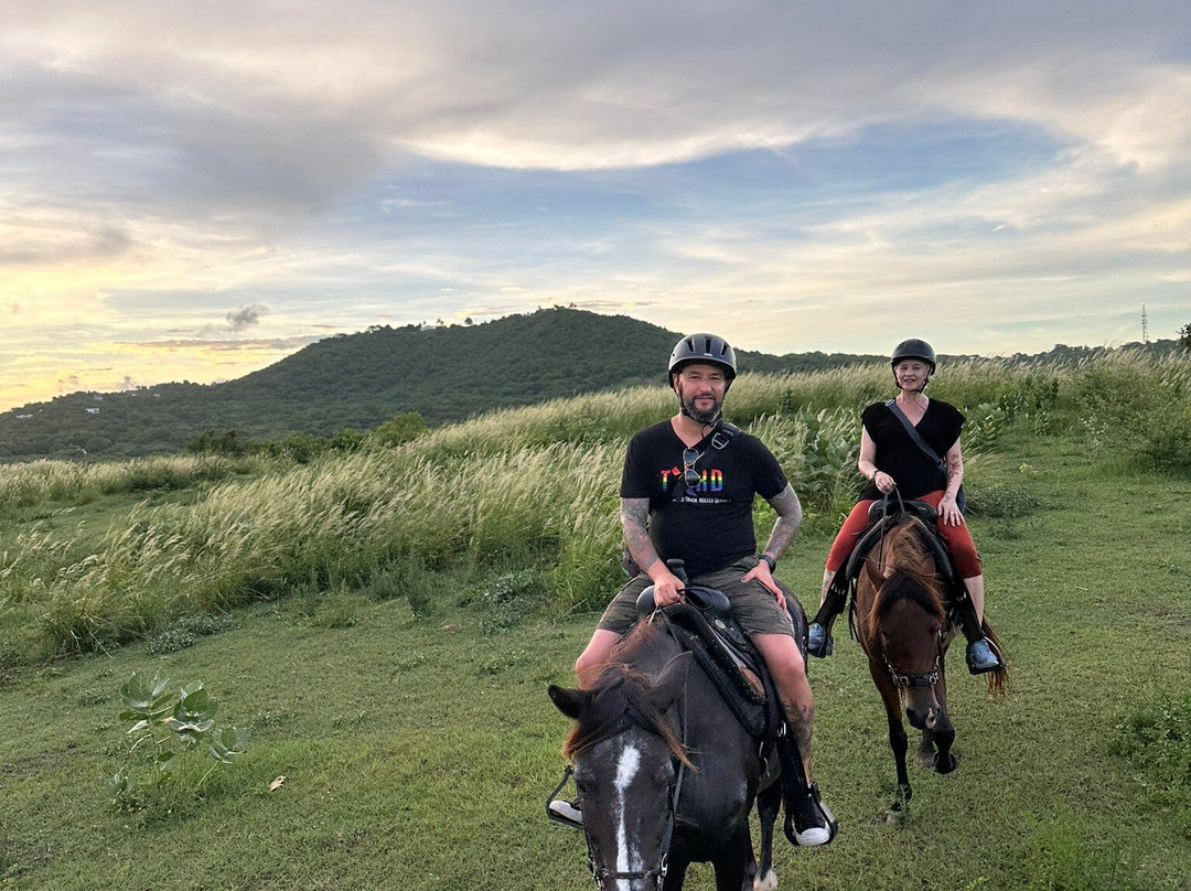 Esperanza Riding Company-维切克岛必去景点