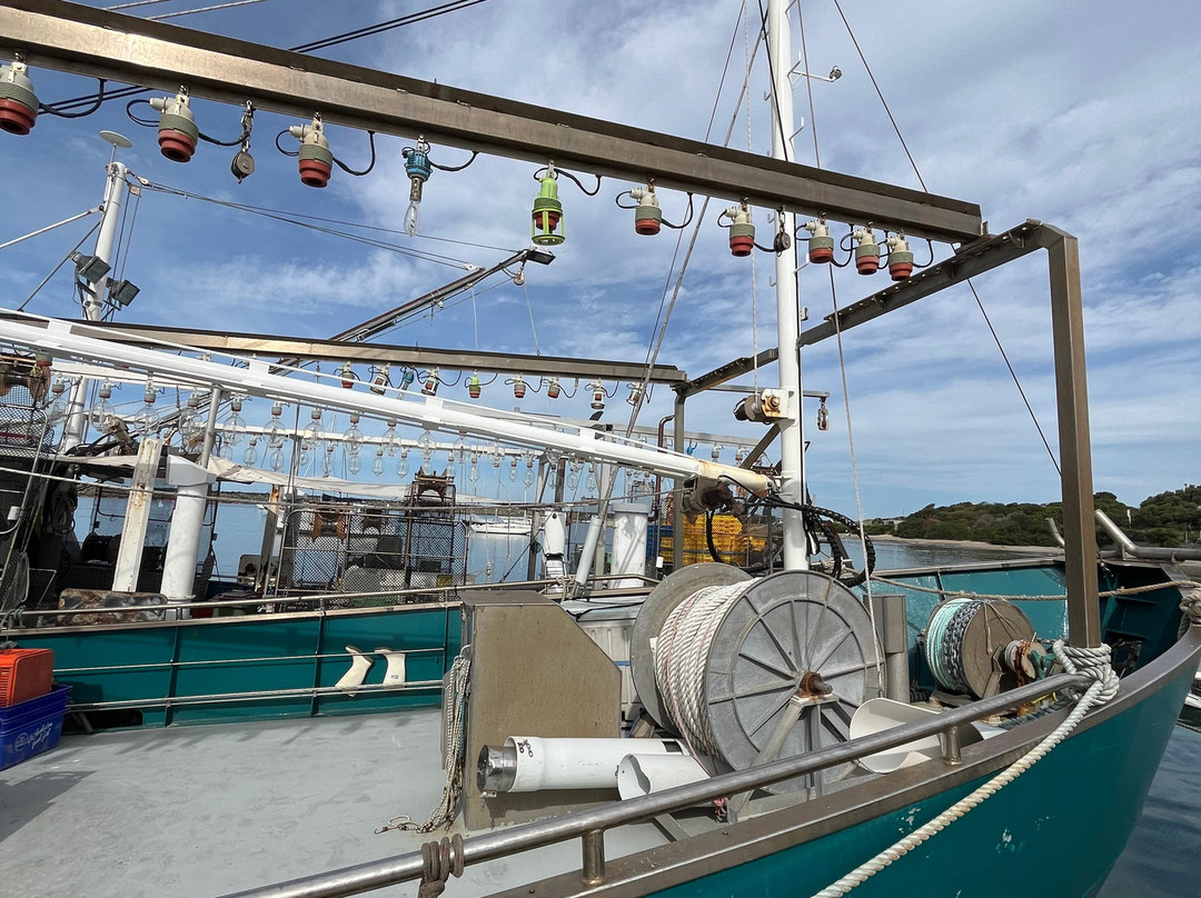 Apollo Bay Harbour-阿波罗湾必去景点