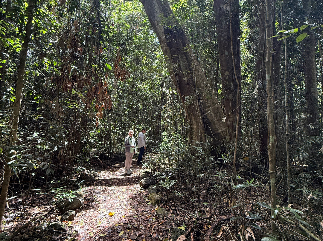 Birdwatching Tropical Australia-Mossman必去景点