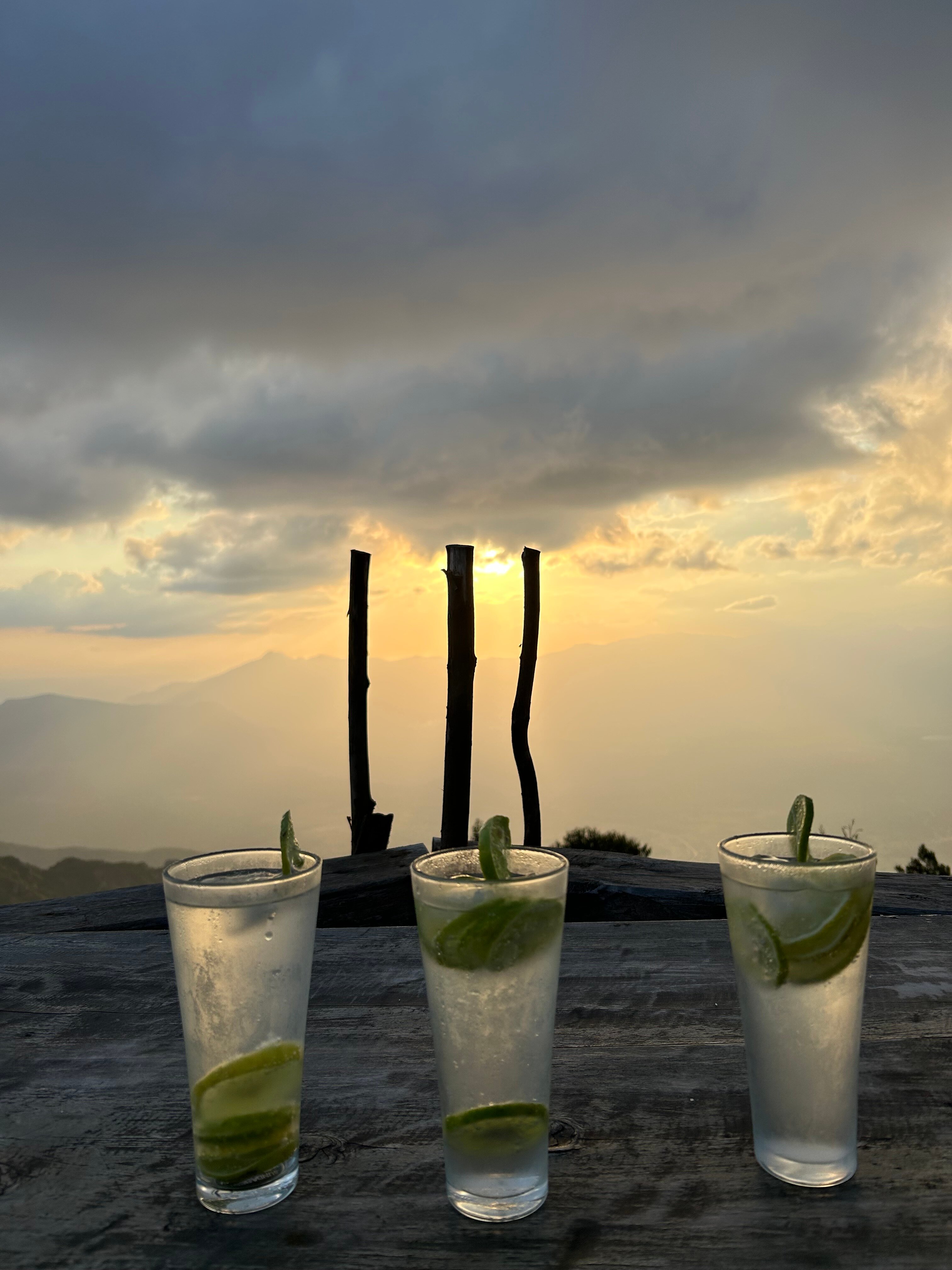 MamboViewPoint-官方