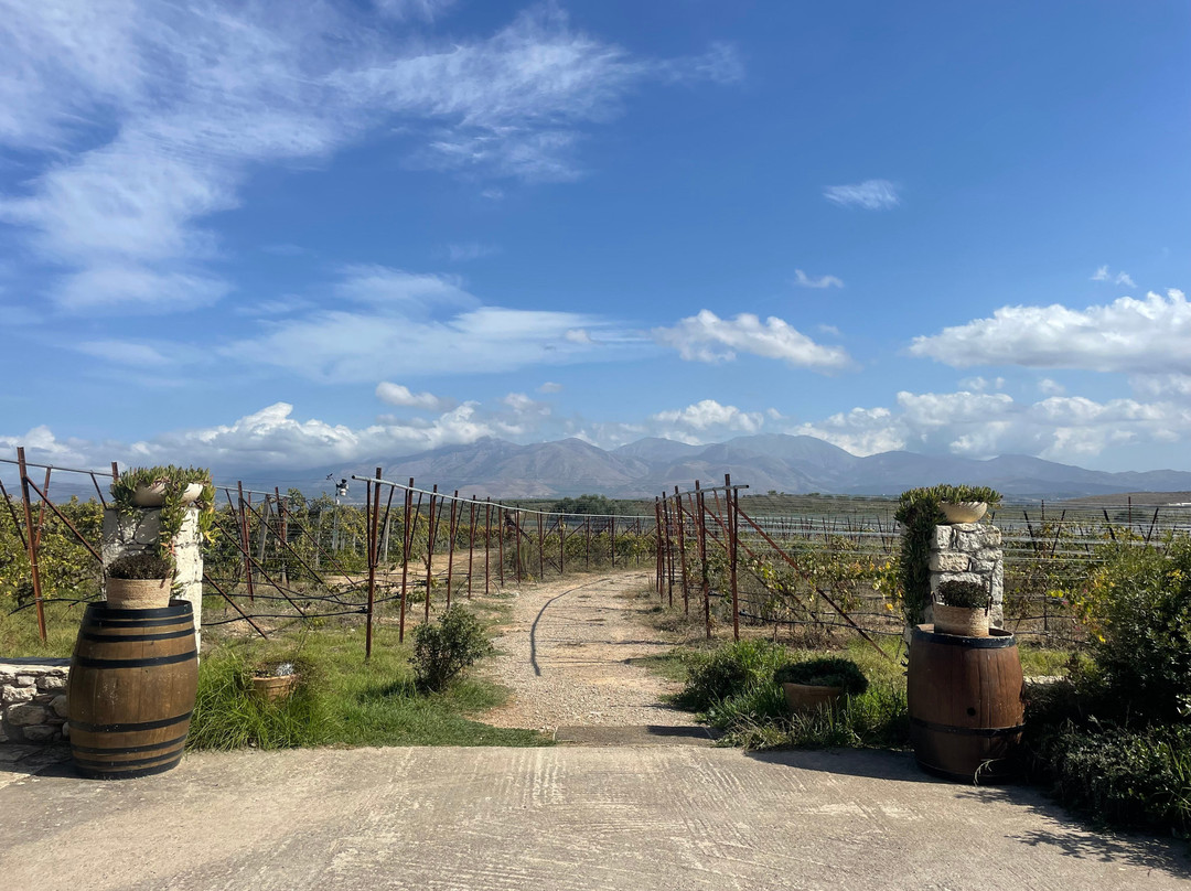 Lyrarakis Winery-伊拉克利翁必去景点