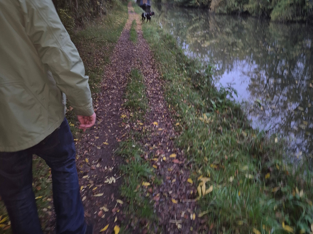Boutique Narrowboats-马基特哈伯勒必去景点