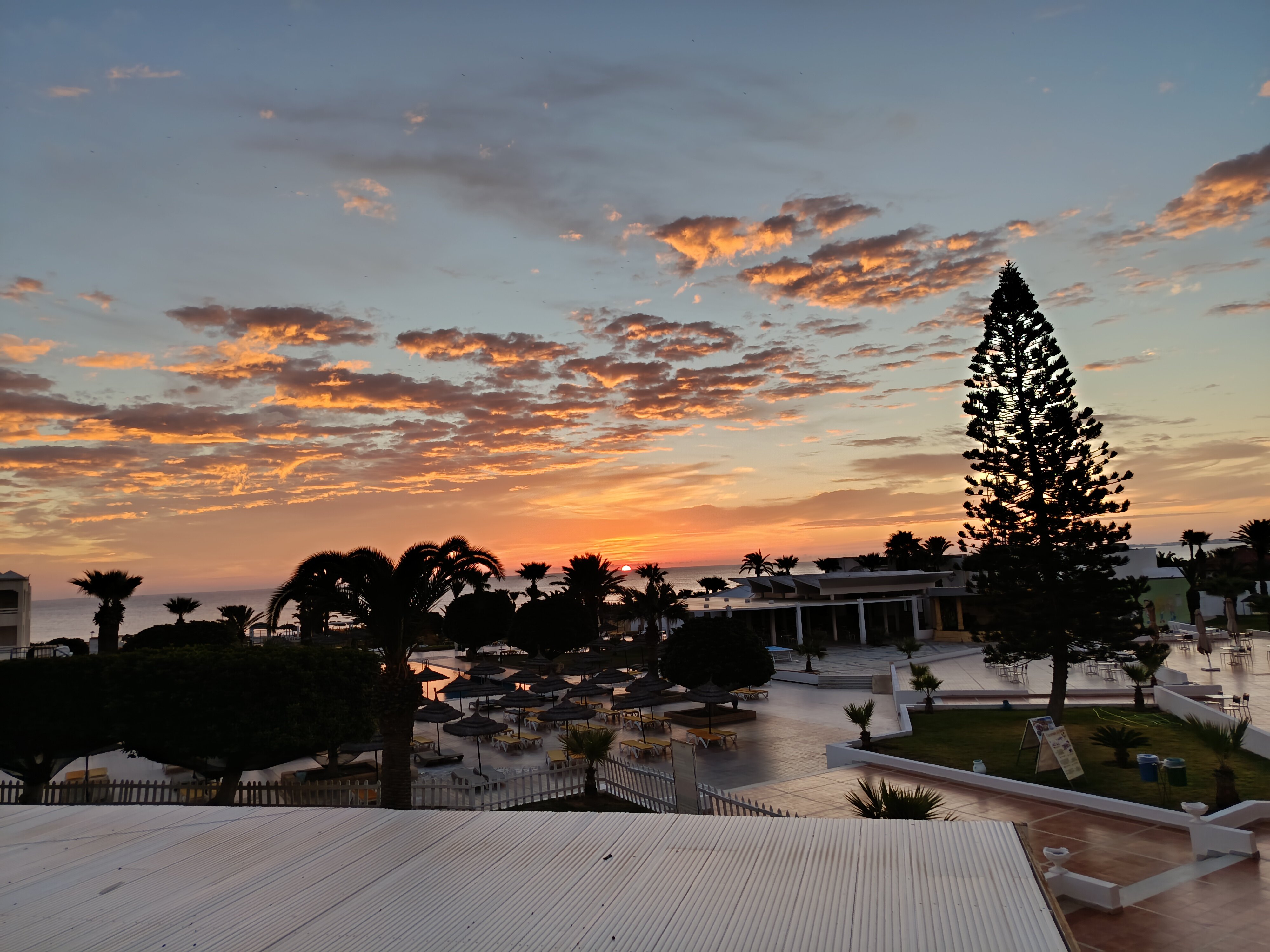 Club Thapsus Hotel-官方