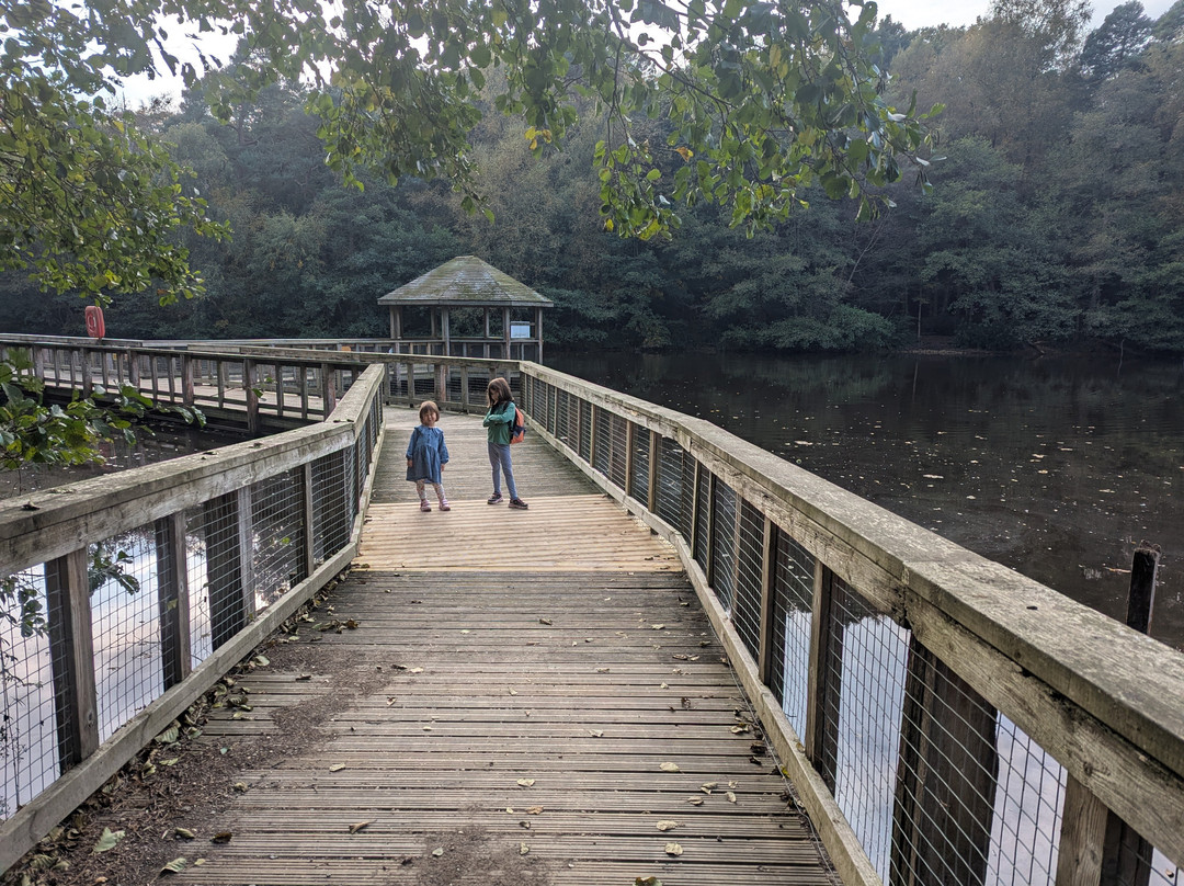 Tilgate Park-克劳利必去景点