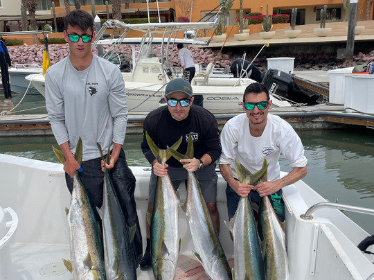 Baja Adventure Co.-拉巴斯必去景点