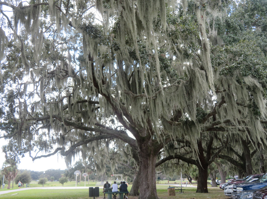 Lake Wailes Park-莱克威尔士必去景点