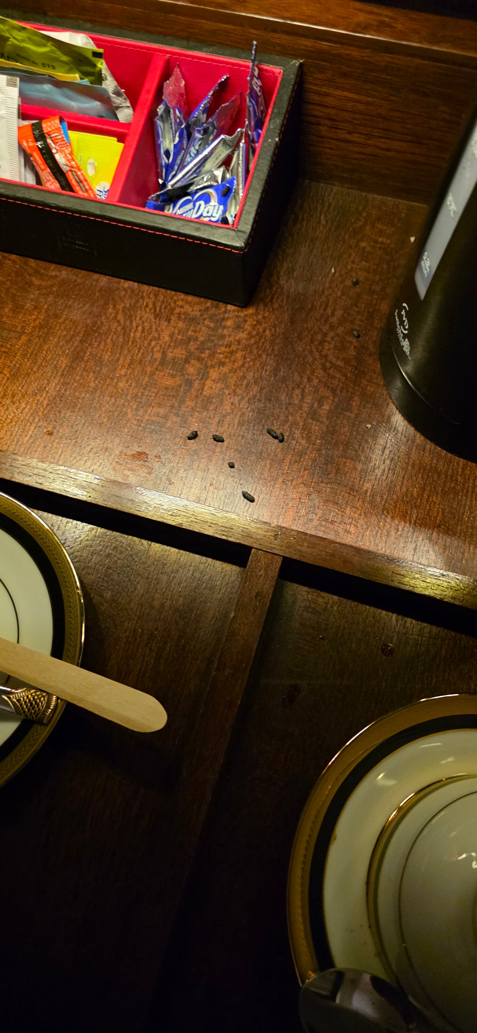 Della Resorts-官方