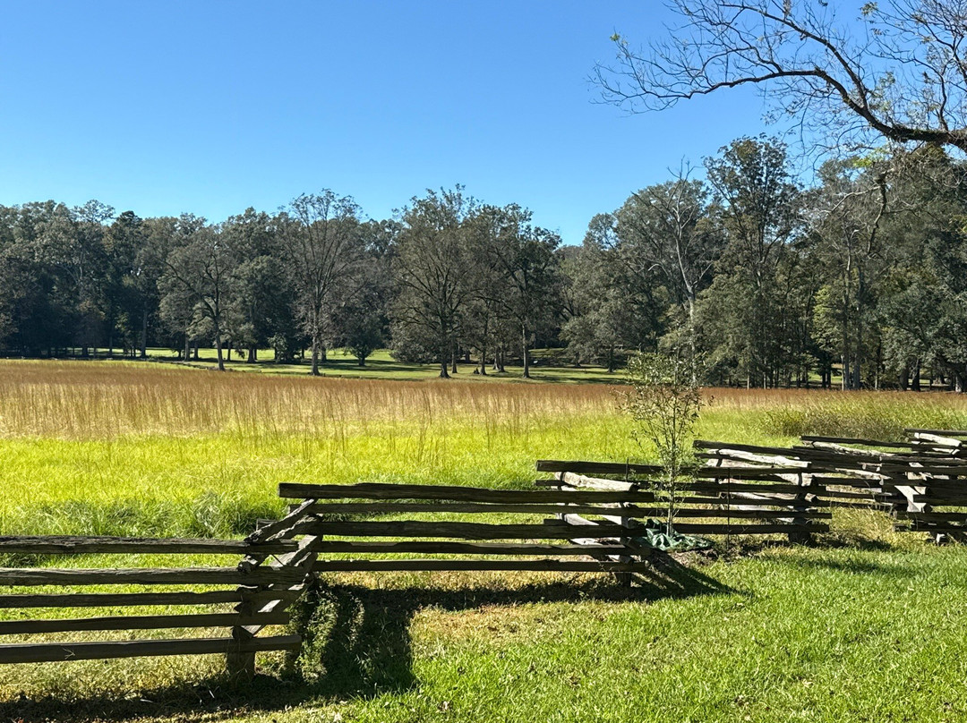 Discovery Bicycle Tours-伍德斯托克必去景点