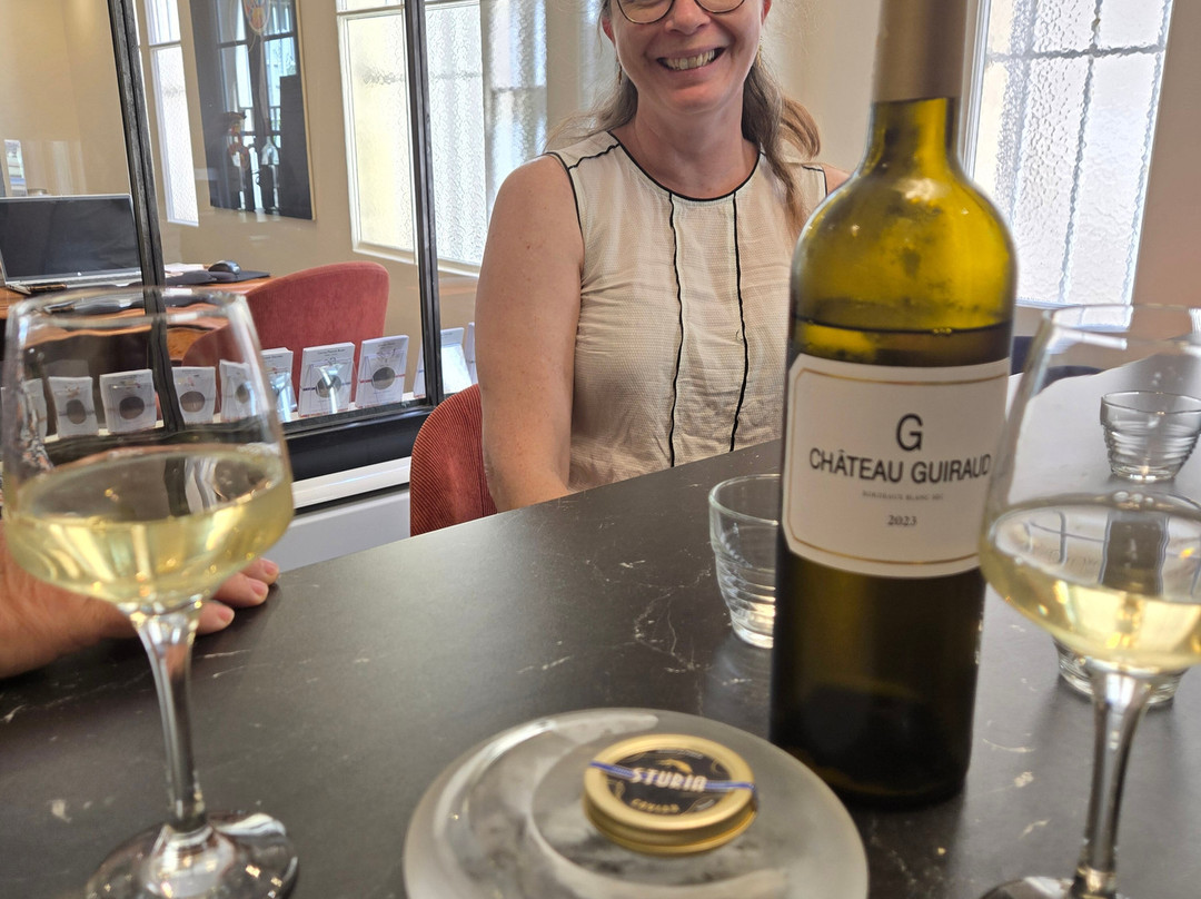 Aquitaine Travel Guide-波尔多必去景点