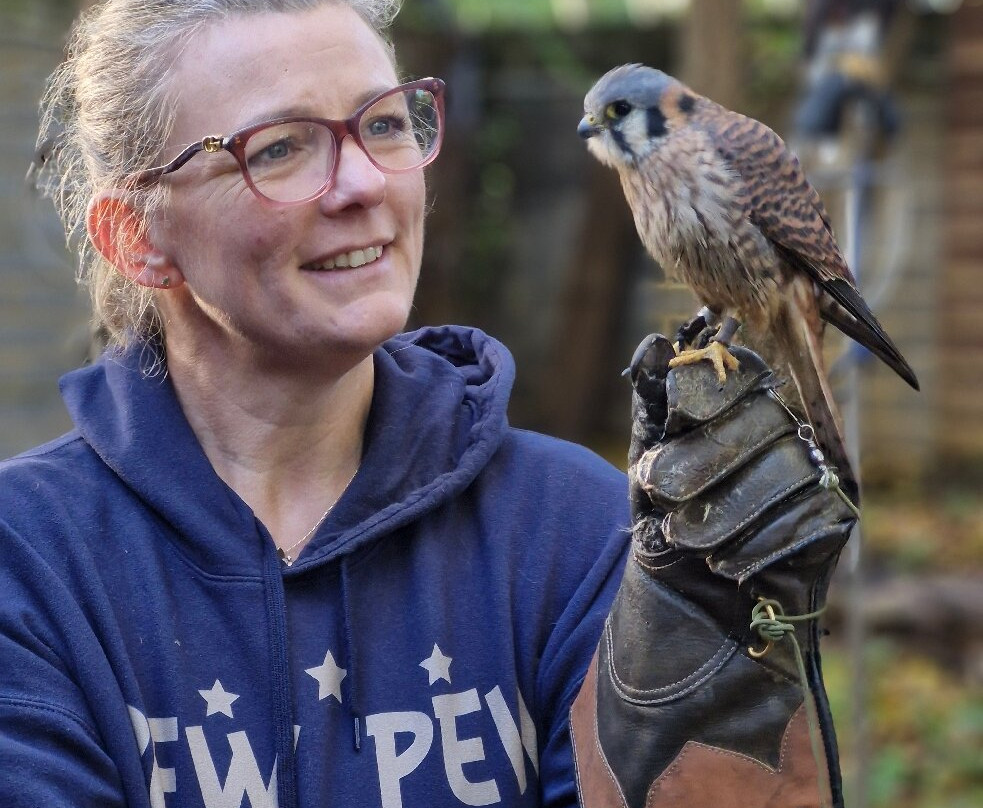 Kent Owl Academy-梅德斯通必去景点