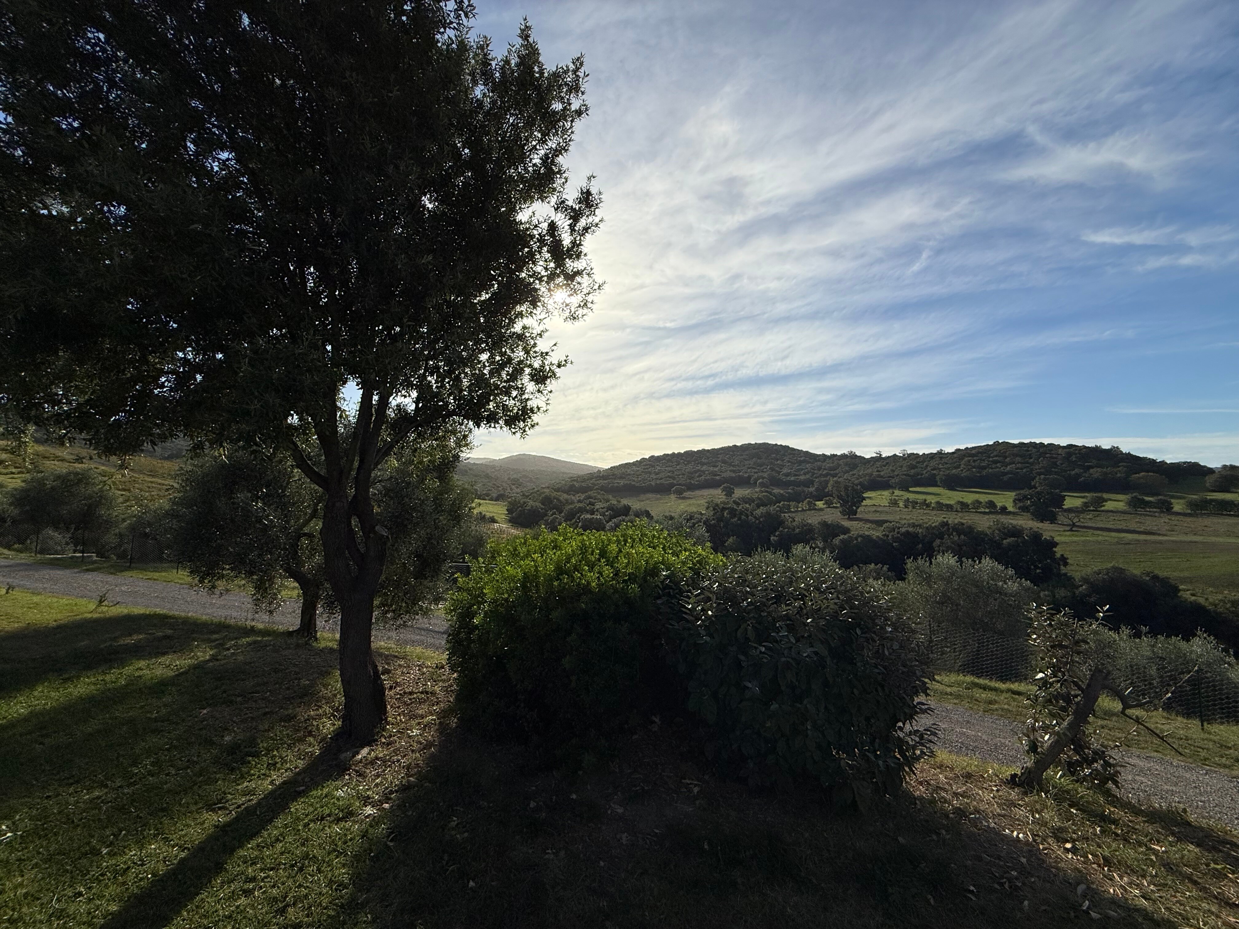 Agriturismo Lo Scalandrino-官方