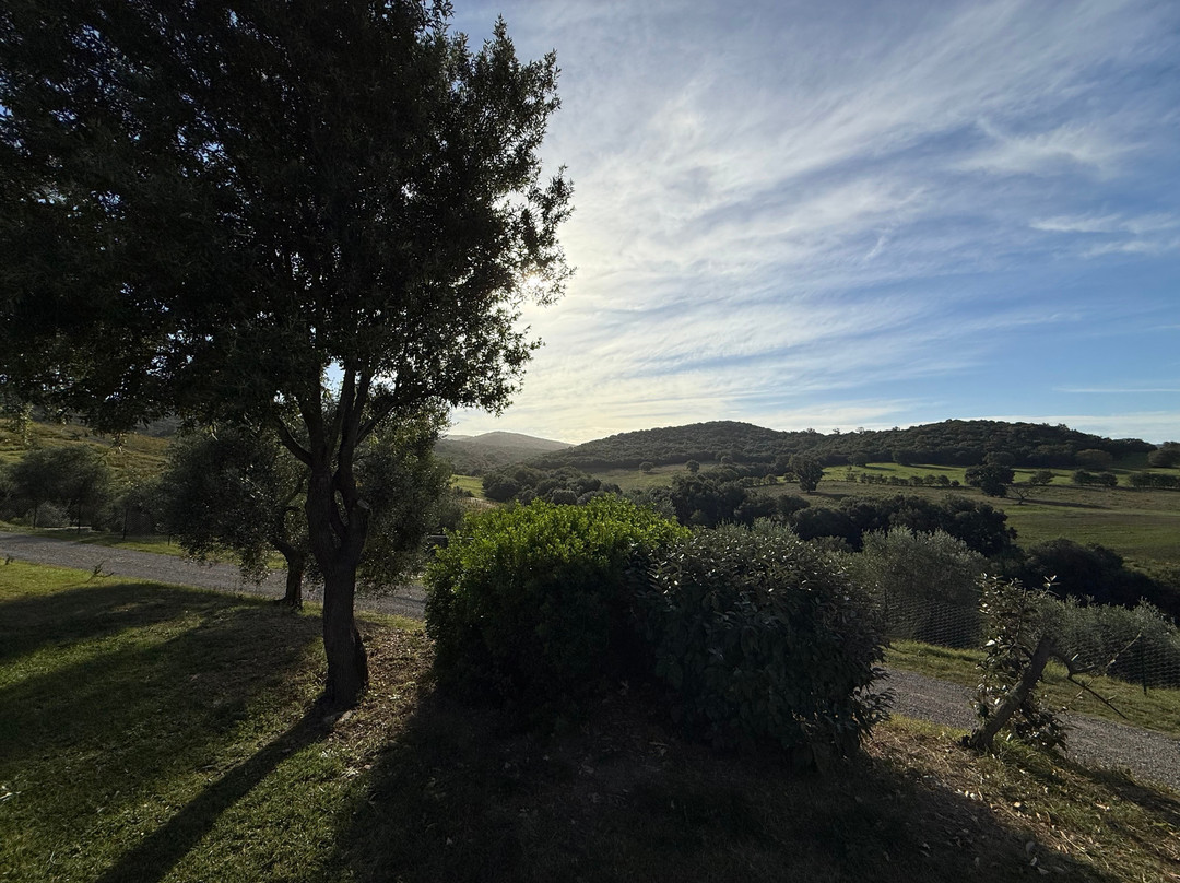 Rispescia酒店住宿-Agriturismo Lo Scalandrino