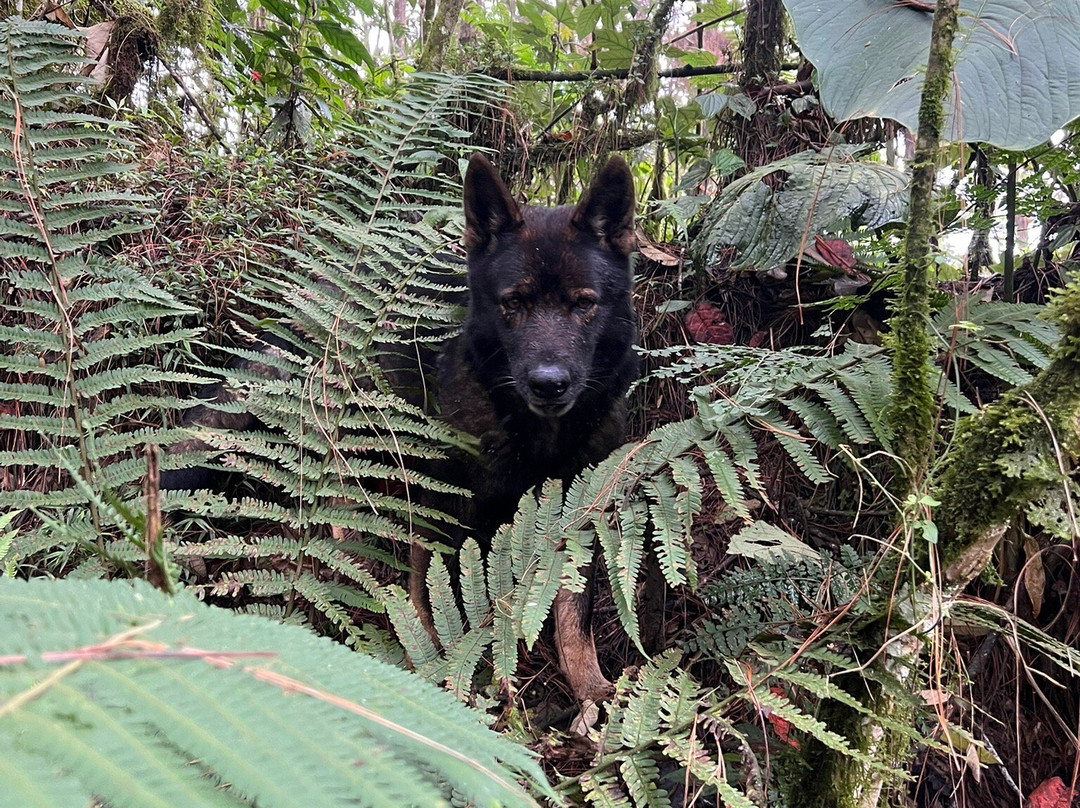 LA JUANA COLOMBIA-Neira必去景点