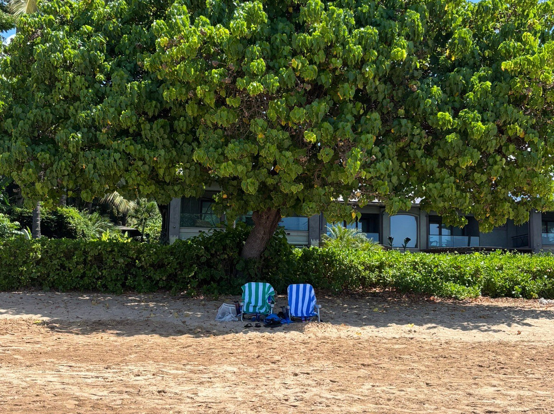 Palauea Beach-维雷亚必去景点