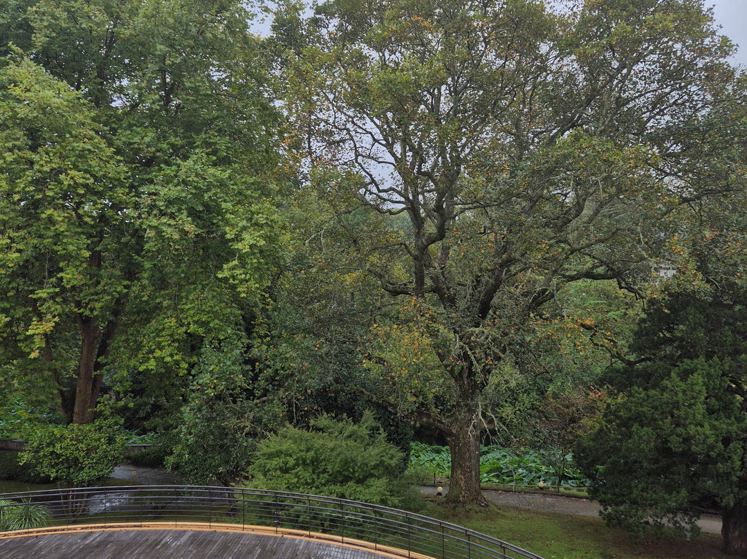 Terra Nostra Garden Hotel主图