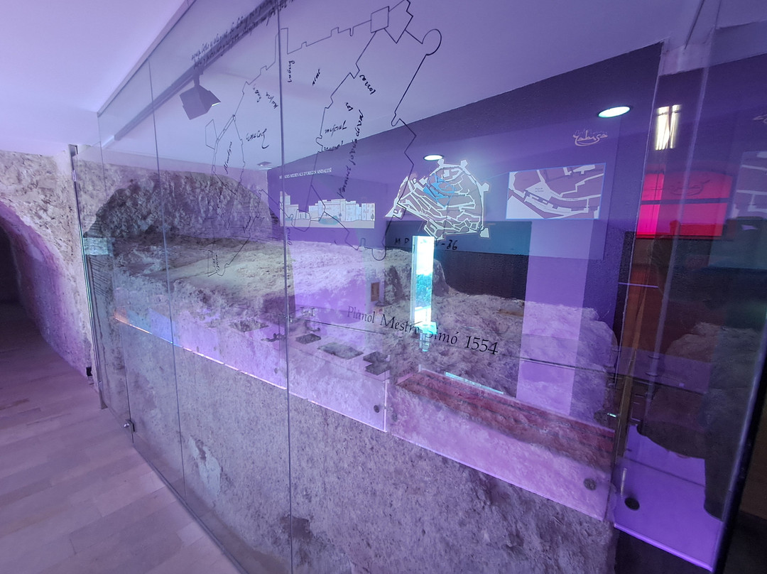 Museu Arqueològic d'Eivissa i Formentera-伊维萨城区必去景点