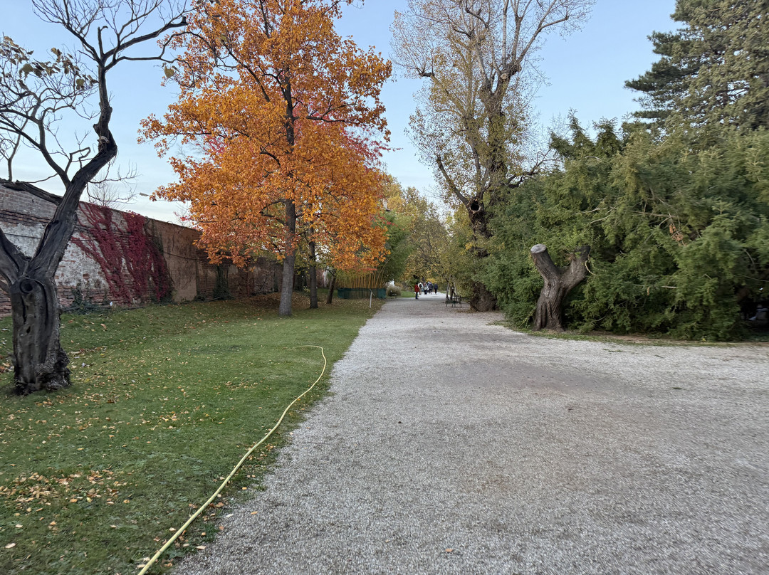 Botanischer Garten (Botanical Garden of the University of Vienna)-维也纳必去景点