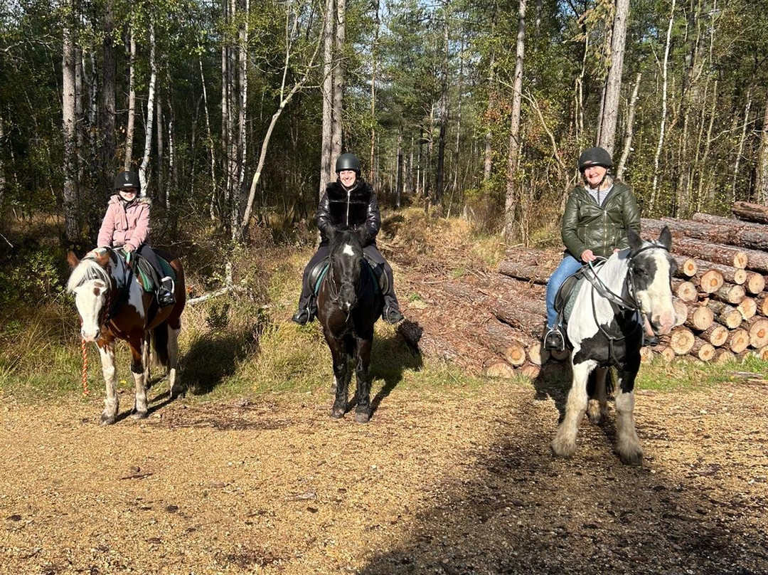Eastmoors Forest Rides-St Leonards必去景点