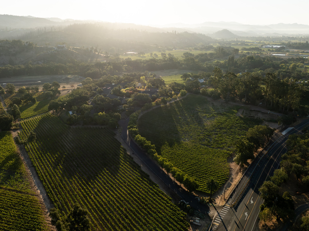 Trinchero Napa Valley-圣海伦娜必去景点