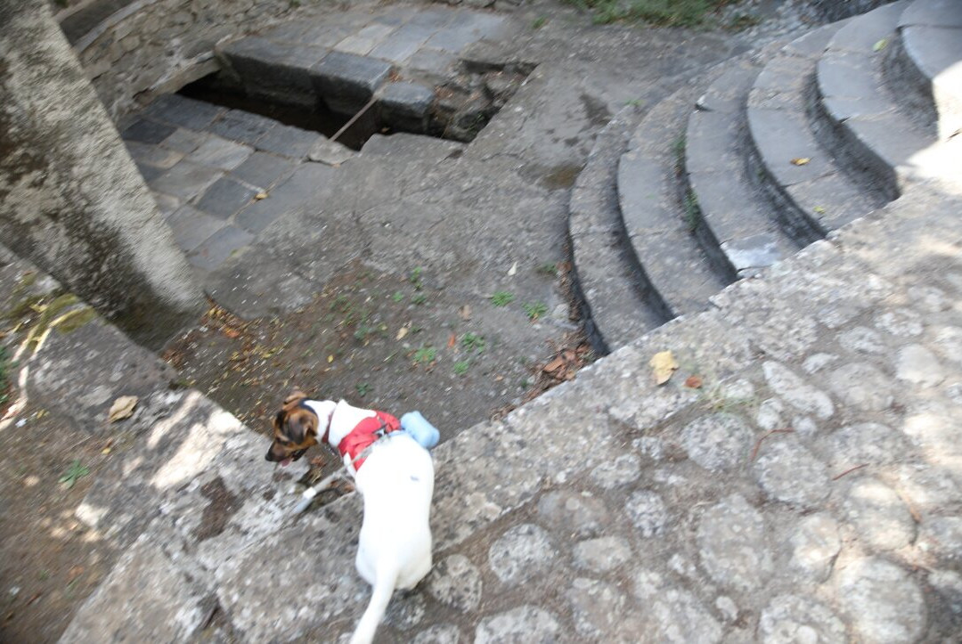 Fontaine (Rue pont vieux)-Corte必去景点